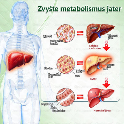 Doporučeno Fakultní nemocnicí Motol · 👩‍⚕️ Oficiální prodejna BENU | 🎁 𝐆𝐞𝑒𝑙𝑒𝐦𝐨𝐧® Glum𝐚𝐬𝐞tide 8 v 1 – Zeštíhlující nano mikrojihlový náplast 🇨🇿 Jen 1× denně ✅ Viditelné změny za 7 dní – na obezitu, kardiovaskulární zdraví, diabetes a kloubní problémy